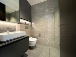 Irwell Hill Residences (D9), Apartment #610572941